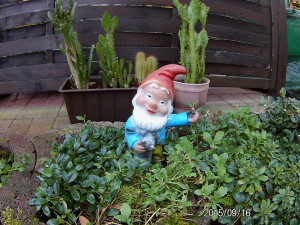 Testfoto der Rollei ActionCam 410
